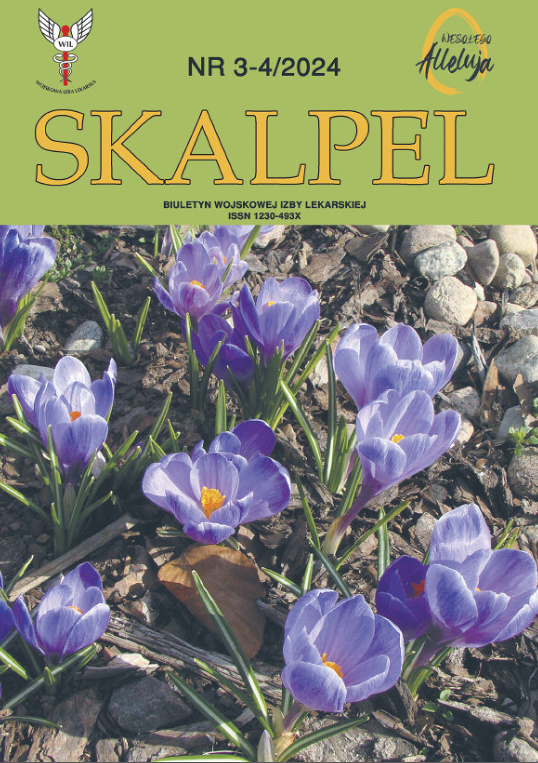 Skalpel